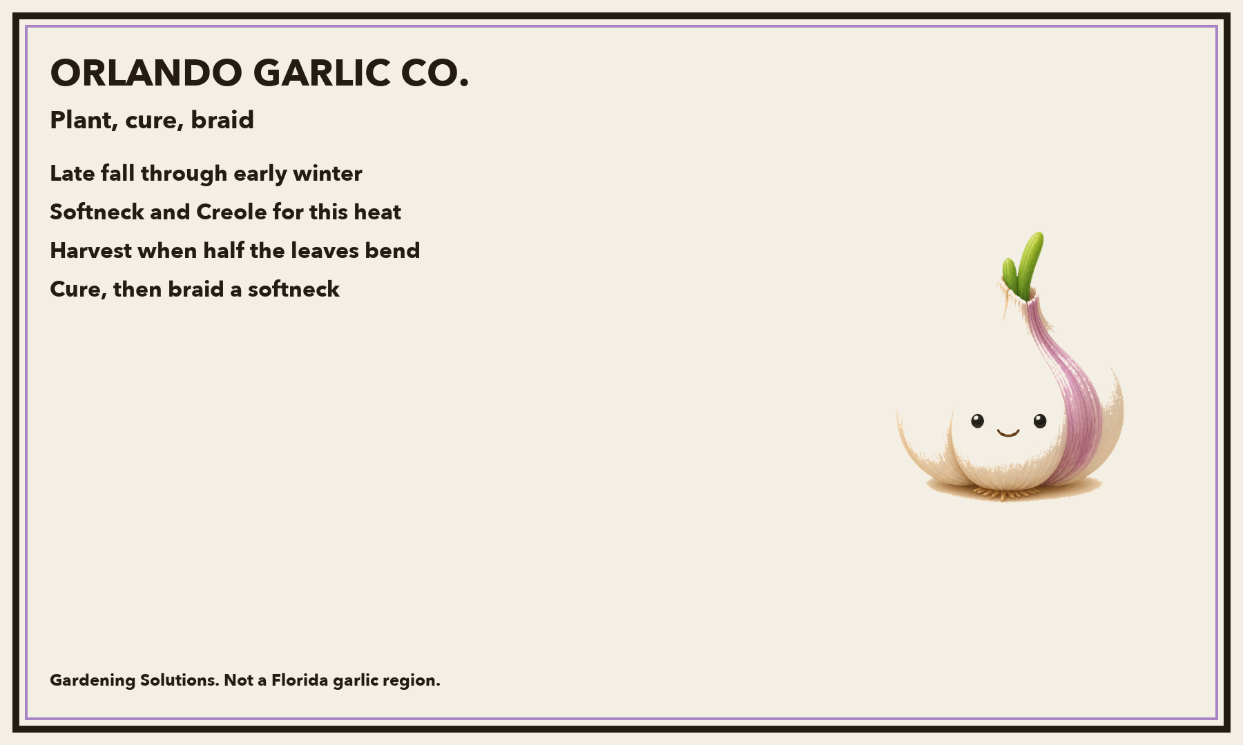 A garlic postcard